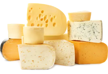 Домашняя сыроварня экспресс комплекс для изготовления сыра